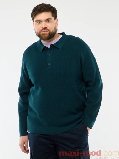Мъжки пуловер с поло яка