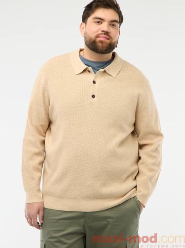 Мъжки пуловер с поло яка
